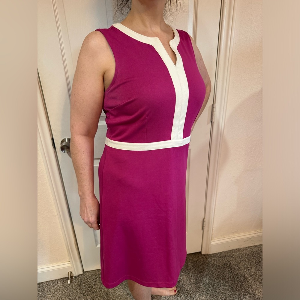 Classy Ann Taylor Pink and White Dress